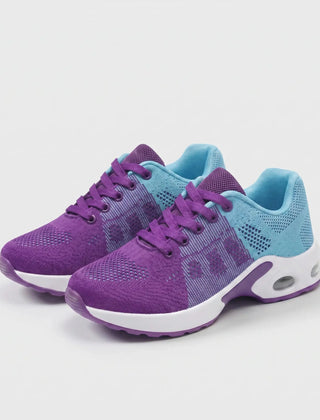 Purple / Light Blue